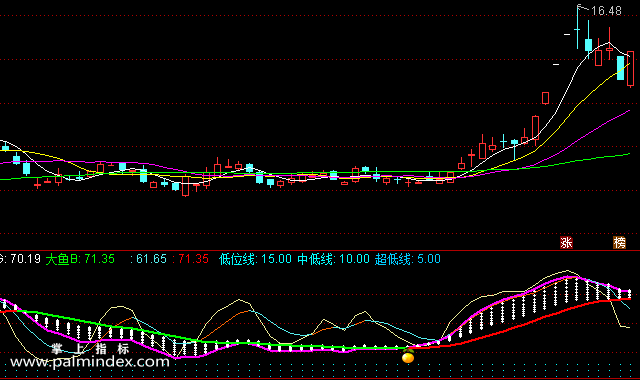 32702 【通达信指标】双标钓鱼-副图指标公式  第4张