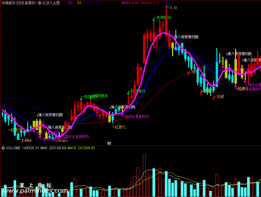 【通达信指标】红孩儿主图和配套选股指标公式（0262）